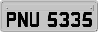 PNU5335