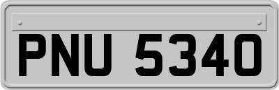 PNU5340