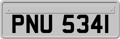 PNU5341