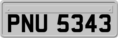 PNU5343