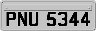 PNU5344