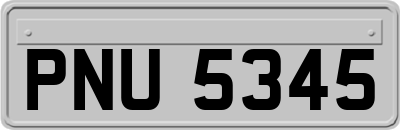 PNU5345