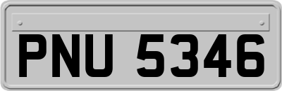PNU5346