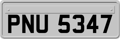 PNU5347