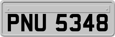 PNU5348