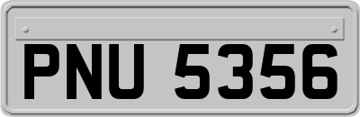 PNU5356
