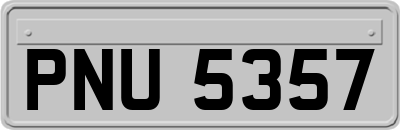 PNU5357