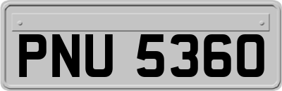 PNU5360