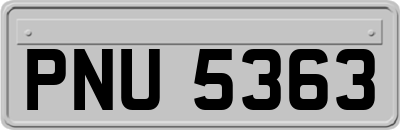 PNU5363