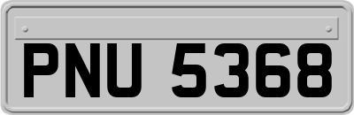 PNU5368