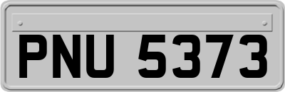 PNU5373
