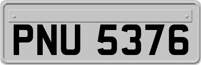 PNU5376