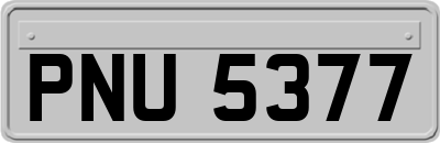 PNU5377