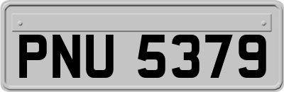 PNU5379