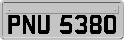 PNU5380