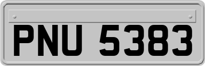 PNU5383