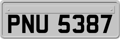 PNU5387