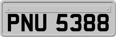 PNU5388