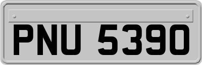 PNU5390
