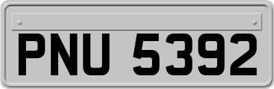 PNU5392