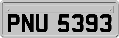 PNU5393