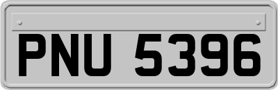 PNU5396