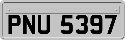 PNU5397