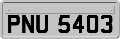 PNU5403