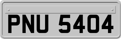 PNU5404