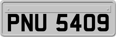 PNU5409