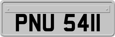 PNU5411