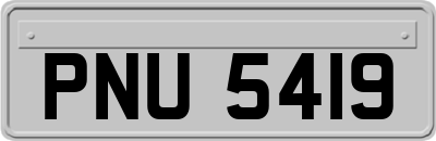 PNU5419