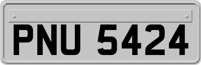 PNU5424