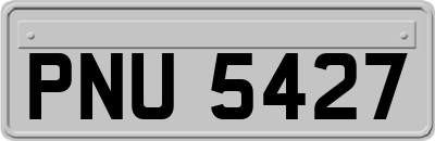 PNU5427