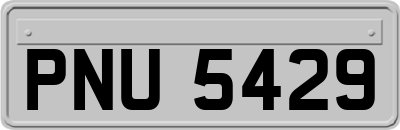 PNU5429