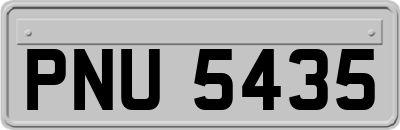 PNU5435