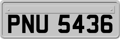 PNU5436