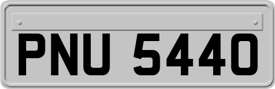 PNU5440