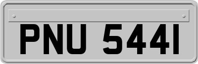 PNU5441