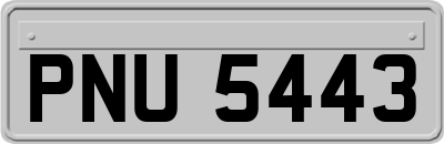 PNU5443
