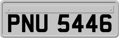 PNU5446