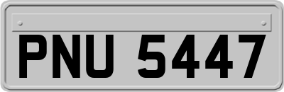 PNU5447