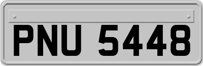 PNU5448