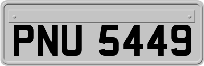 PNU5449
