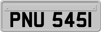 PNU5451
