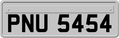PNU5454