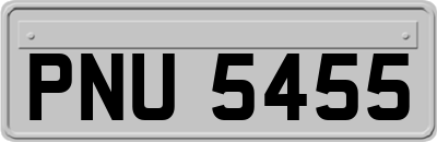 PNU5455