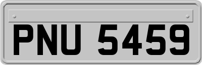 PNU5459