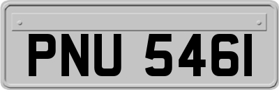 PNU5461