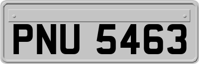 PNU5463